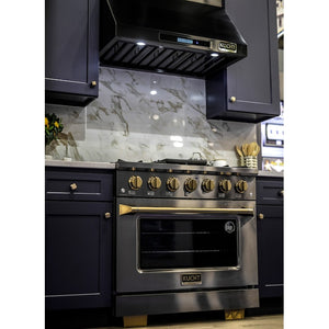 Kucht Gemstone Professional 30" 4.2 cu. ft. Propane Gas Range in Titanium Stainless Steel with Gold Accents, KEG303/LP
