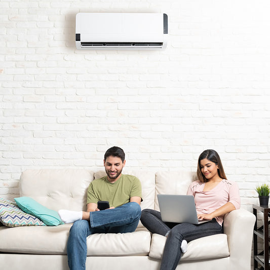 a couple sitting on a couch under a mini split unit