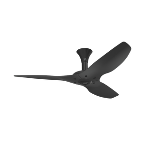 Ceiling Fans