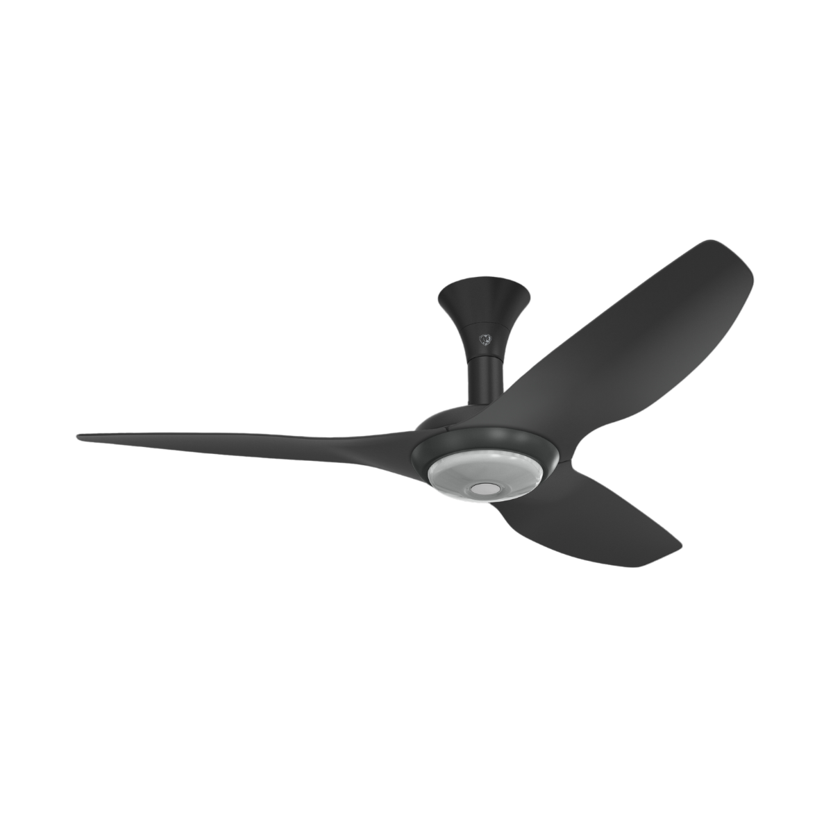 Ceiling Fans with Lights