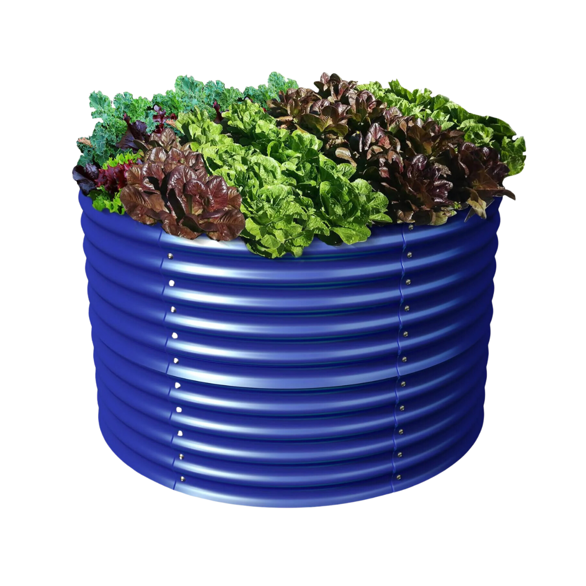 Garden Beds