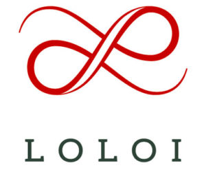 Loloi Rugs