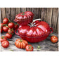 Staub Cast Iron 3-qt Tomato Dutch Oven - Cherry