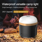 EcoFlow Camping Light