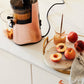 H-AA Slow Juicer