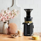 H101 Easy Clean Slow Juicer