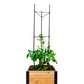 Vegetable Cage