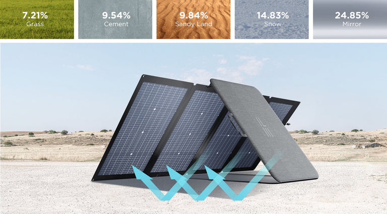 EcoFlow Package - DELTA 2 Max Portable Power Station (2048Wh) and 1 x Bifacial Portable Solar Panel (220W)