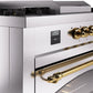 ILVE Nostalgie II 60" Dual Fuel Propane Gas Range in Stainless Steel with Brass Trim, UP60FSNMPSSGLP