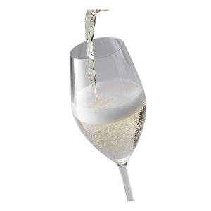 ZWILLING 6pc Champagne Glass Set, Prédicat Glassware Series