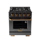 Kucht Gemstone Professional 30" 4.2 cu. ft. Propane Gas Range in Titanium Stainless Steel with Gold Accents, KEG303/LP