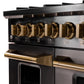 Kucht Gemstone Professional 48" 6.7 cu. ft. Dual Fuel Range in Titanium Stainless Steel with Gold Accents, KED484