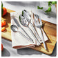 ZWILLING 45pc Opus Stainless Steel Flatware Set