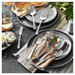 ZWILLING 23pc Bellasera Stainless Steel Flatware Set