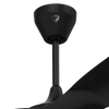 Big Ass Fans Haiku Coastal Downrod - Marine-Grade Stainless Extension (5-63 in) - Black