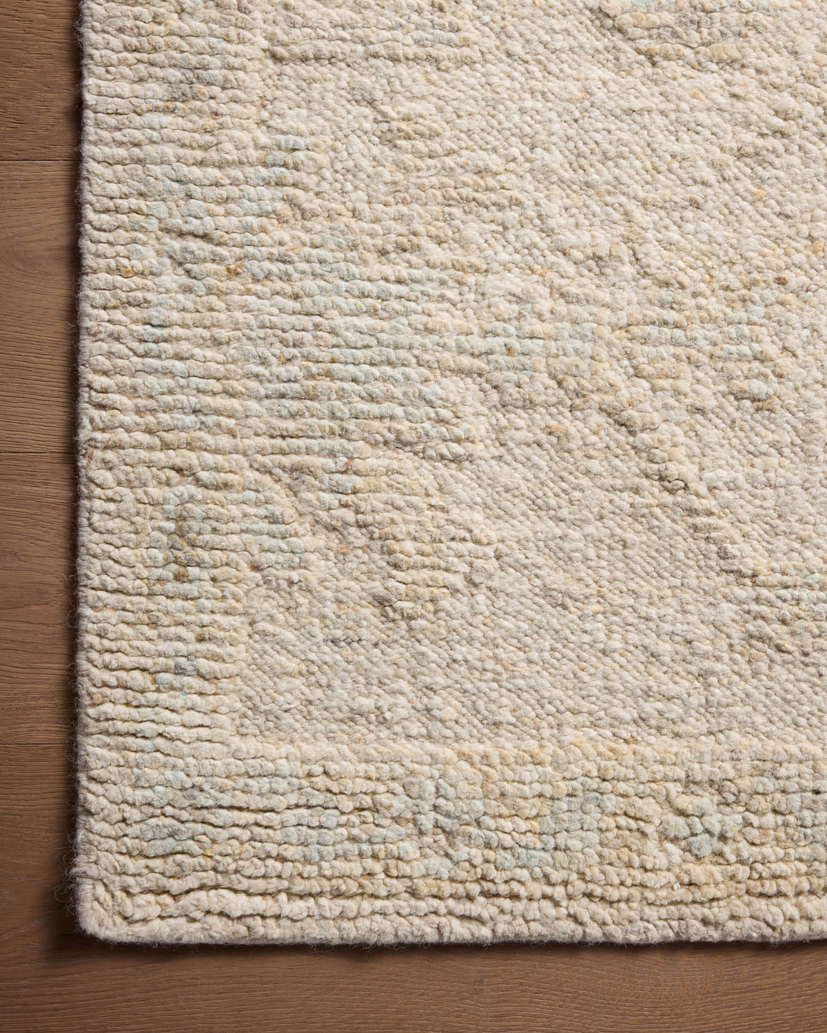 Loloi Adelaide ADE-01 Ivory / Natural area rug - image 5