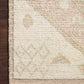 Loloi Anissa ANI-01 Ivory / Multi area rug - image 9