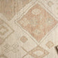 Loloi Anissa ANI-01 Ivory / Multi area rug - image 4