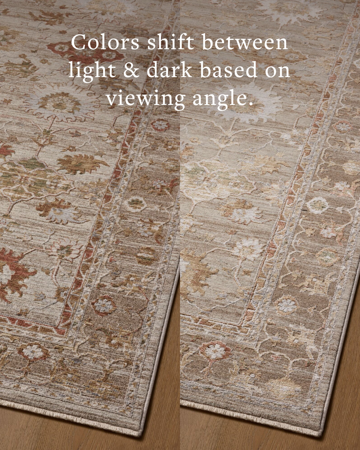 Loloi Aylin AYL-04 Pebble / Sunrise area rug - image 5