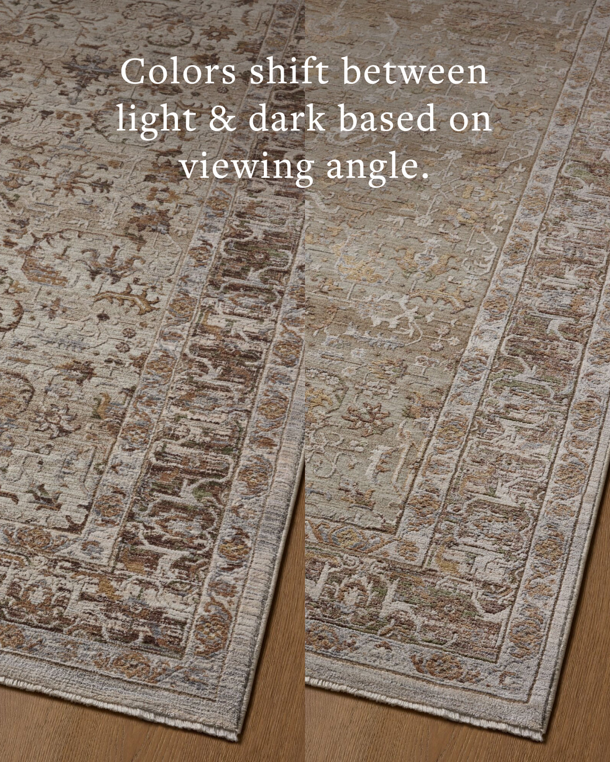 Loloi Aylin AYL-05 Pebble / Multi area rug - image 5