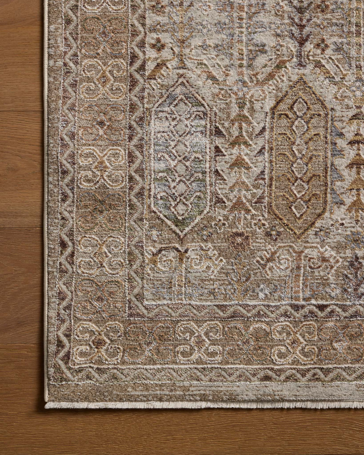 Loloi Aylin AYL-07 Taupe / Multi area rug - image 4