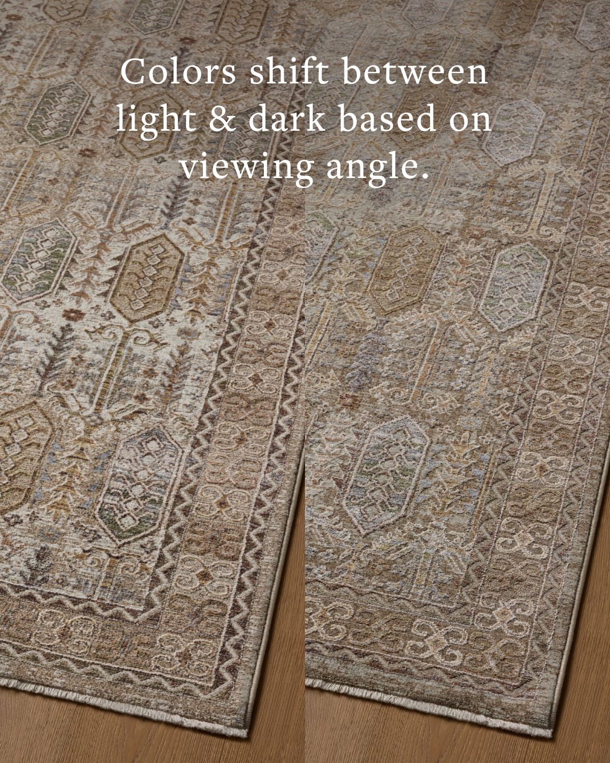 Loloi Aylin AYL-07 Taupe / Multi area rug - image 5