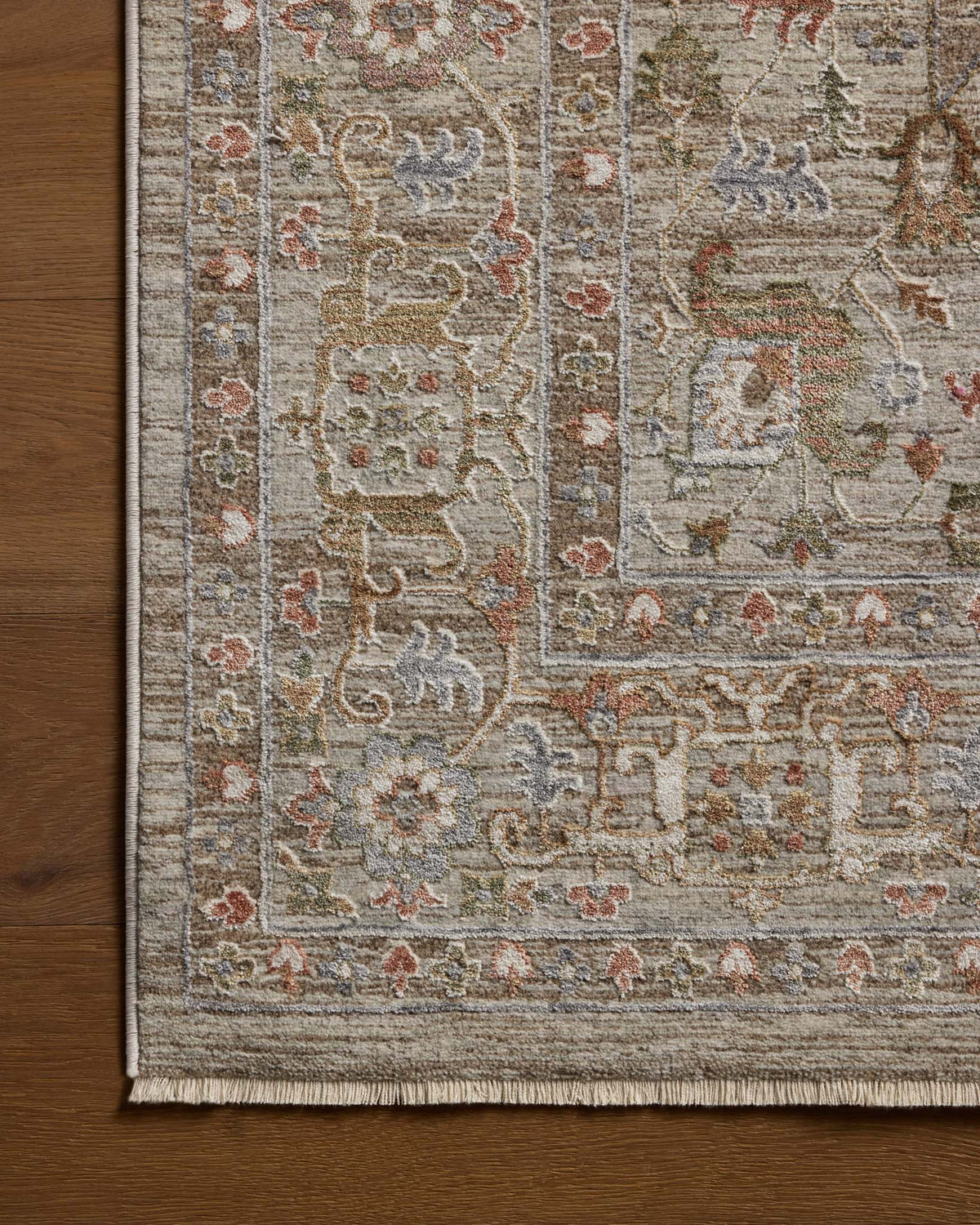 Loloi Aylin AYL-08 Mushroom / Fiesta area rug - image 4