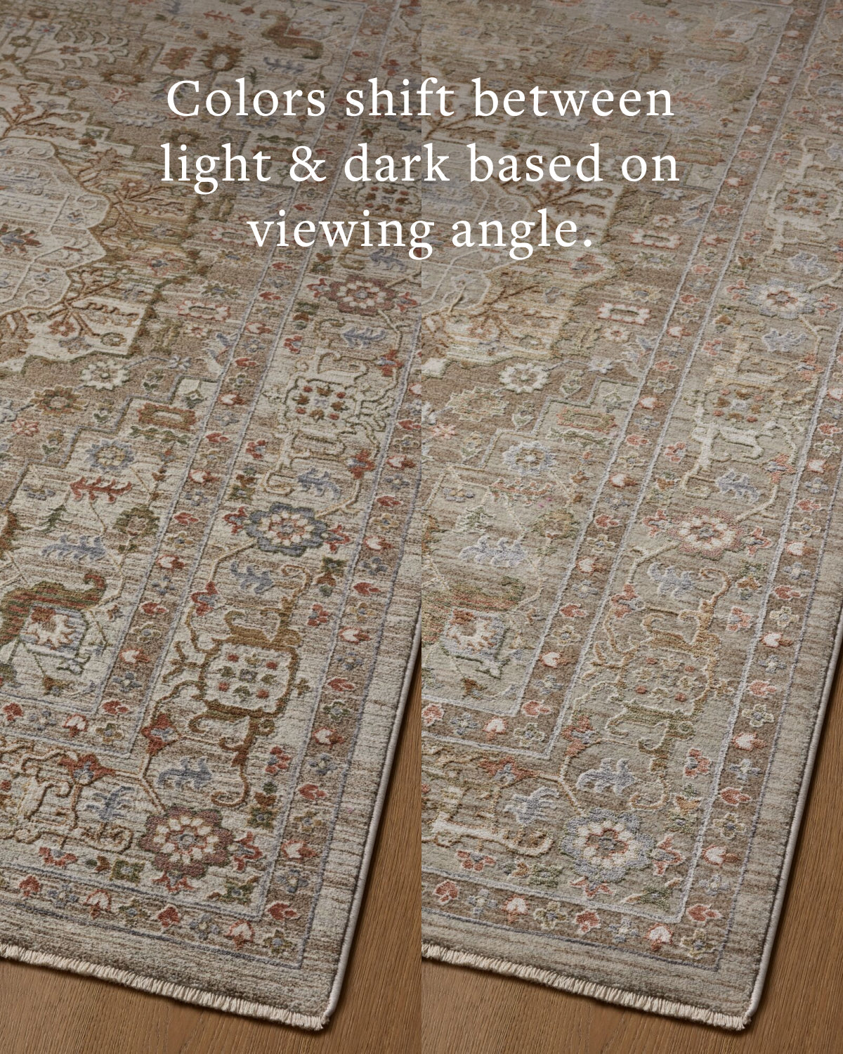 Loloi Aylin AYL-08 Mushroom / Fiesta area rug - image 5