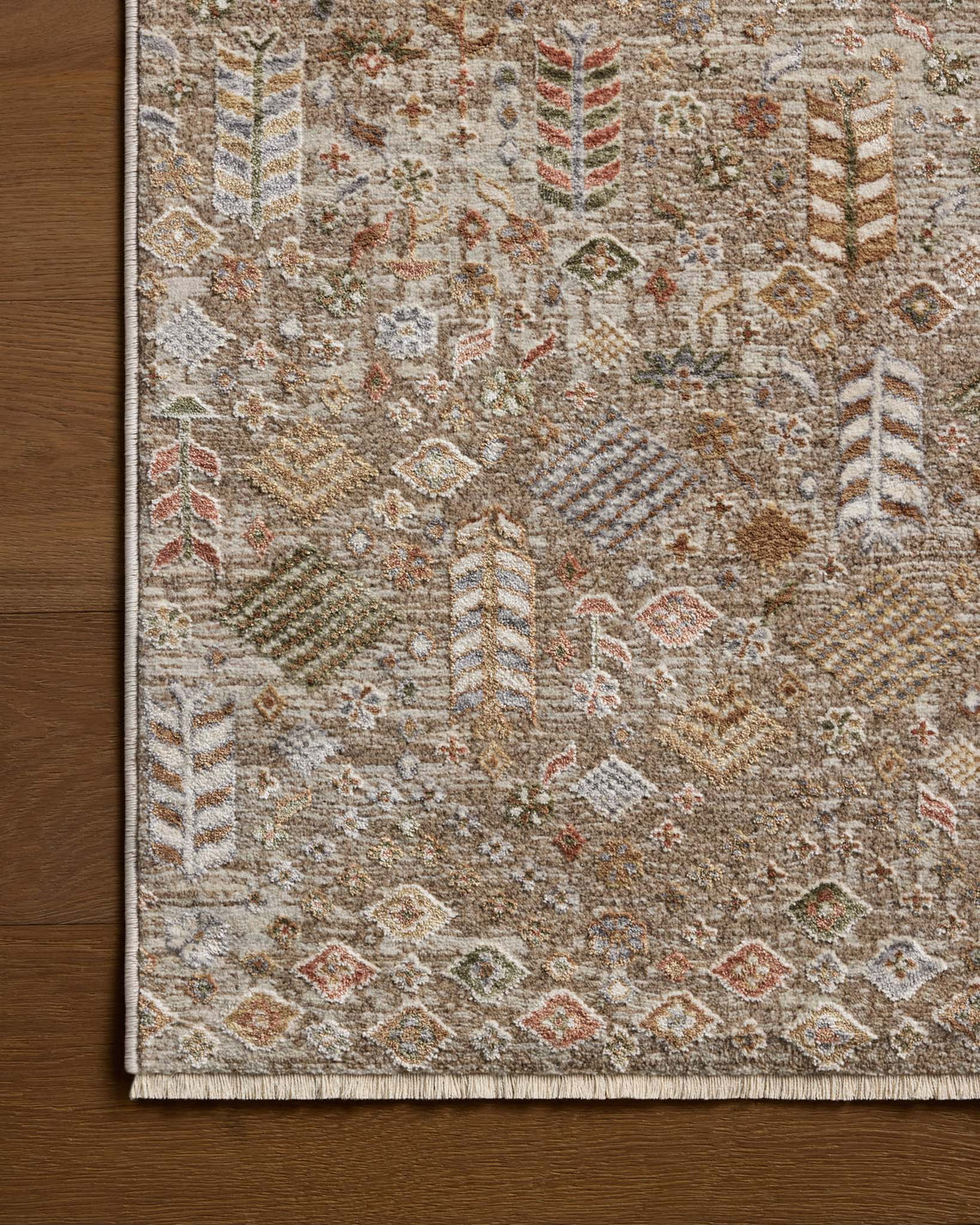 Loloi Aylin AYL-09 Mushroom / Multi area rug - image 4
