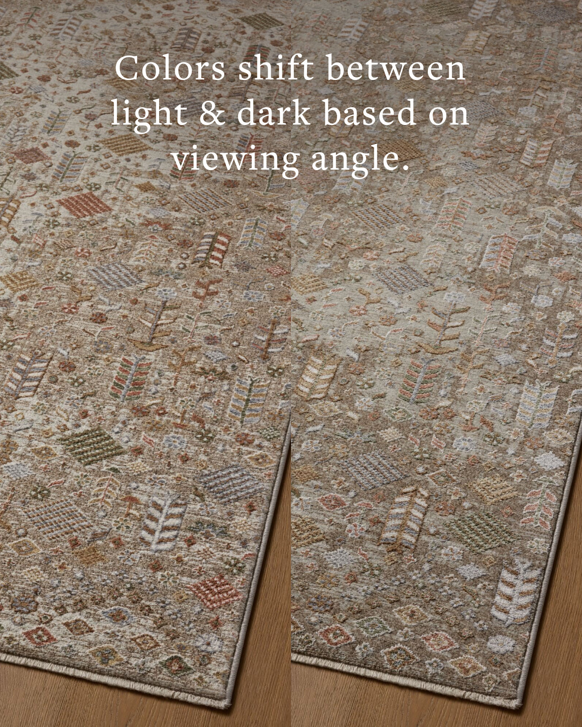 Loloi Aylin AYL-09 Mushroom / Multi area rug - image 5