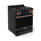 Gordon Ramsay by THOR Kitchen 30" 4.55 cu. ft. Professional Natural Gas Range with Tilt Panel Touch Control and Self-Clean in Matte Black with Rose Gold Accents, RSG30B-RSG
