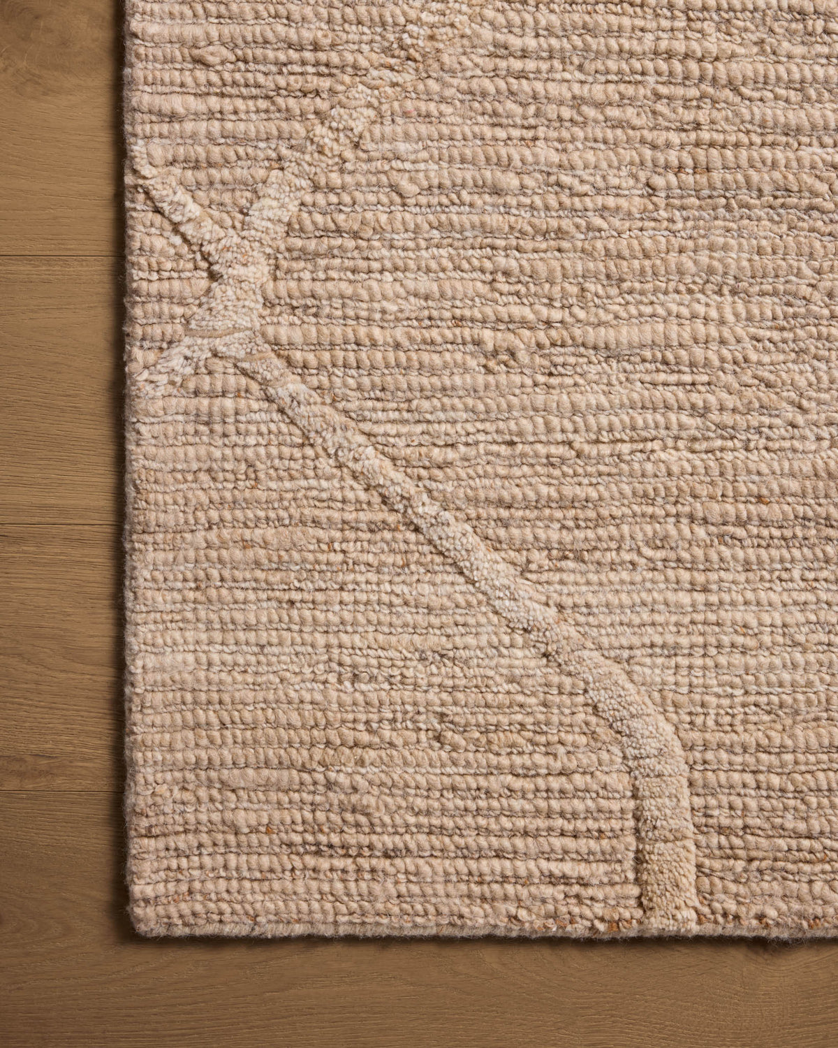 Loloi Cline CLI-01 Champagne area rug - image 5