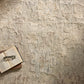 Loloi Cynthia CYN-04 Sky / Natural area rug - image 2