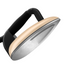 Laurastar Smart 1980 Special Edition Steam Iron System in Gold and Black