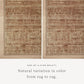 Loloi Daphne DAP-02 Blush / Sand area rug - image 2
