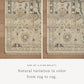 Loloi Dominic DOM-01 Dove / Denim area rug - image 5