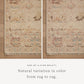 Loloi Dominic DOM-02 Blush / Taupe area rug - image 6