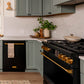 Gordon Ramsay by THOR Kitchen 24" Dishwasher in Matte Black with Bronze Accents, DW24X8BA00-BRZ
