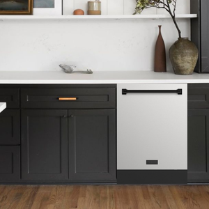 Gordon Ramsay by THOR Kitchen 24" Dishwasher in Stainless Steel with Black Accents, DW24X8BA99-BLK