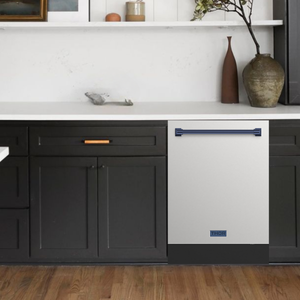 Gordon Ramsay by THOR Kitchen 24" Dishwasher in Stainless Steel with Navy Blue Accents, DW24X8BA99-BLU