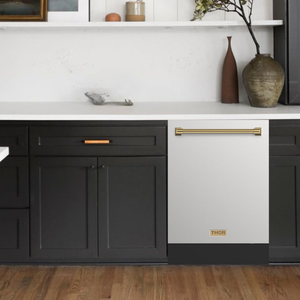 Gordon Ramsay by THOR Kitchen 24" Dishwasher in Stainless Steel with Bronze Accents, DW24X8BA99-BRZ