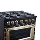 FORNO Ambassador Valente 36" 5.2 cu. ft. Dual Fuel Range, 6 Sealed Burners, Convection Oven in Black with Antique Brass Accents and Copper Rivet Trim, FFSGS6199-36CPBLK