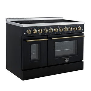FORNO Appliance Package - 48" Electric Range, Range Hood, Dishwasher in Black with Antique Brass Accents