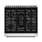 Empava 30" Freestanding Single Oven Natural Gas Range with 5 Burners- 4.5 cu.ft, EMPV-30GR10