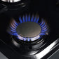 FORNO Massimo 48″ 6.58 cu. ft. Freestanding Dual Fuel Range with 8 Burners, FFSGS6125-48