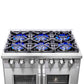 FORNO Capriasca 36" 5.36 cu. ft. Professional Gas Range with French Door and 6 Sealed Burners, FFSGS6460-36