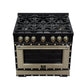 FORNO Ambassador Valente 36" 5.2 cu. ft. Gas Range, 6 Sealed Burners, Convection Oven in Black with Antique Brass Accents and Copper Rivet Trim, FFSGS6299-36CPBLK