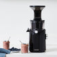 H101 Easy Clean Slow Juicer
