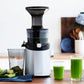 H101 Easy Clean Slow Juicer