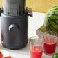 H310 Easy Clean Slow Juicer